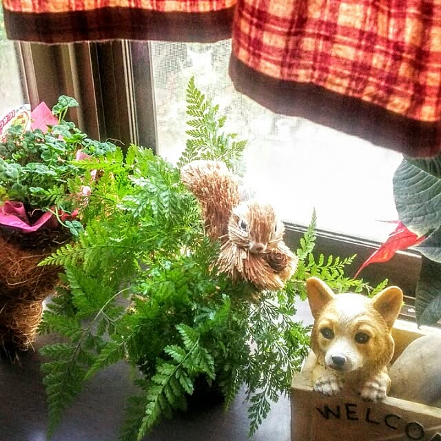 MARONさんの実例写真