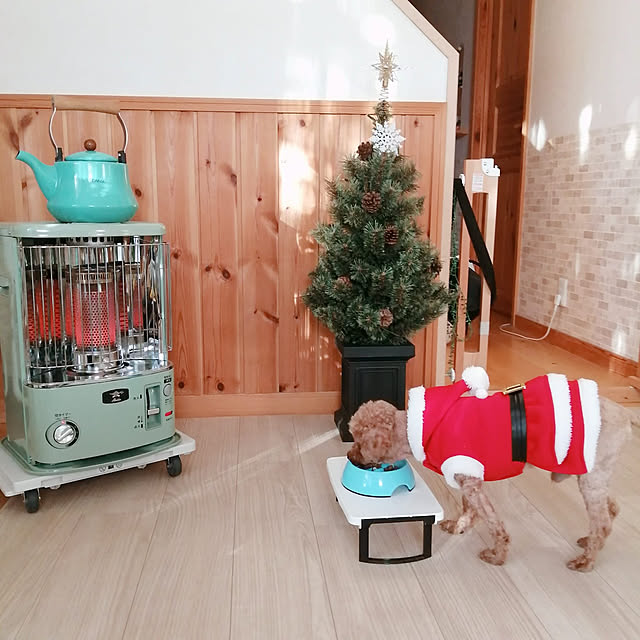 satosanさんの実例写真