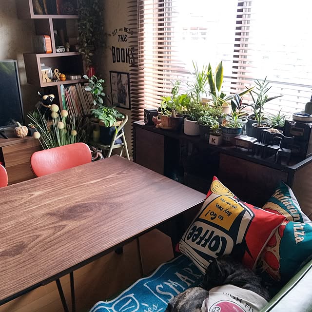 Pakkun-Anさんの実例写真