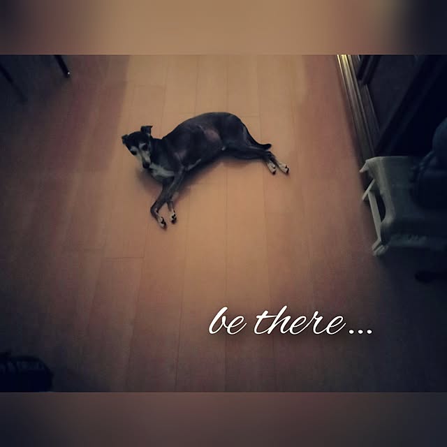 moruさんの実例写真