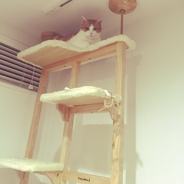 myk93さんの実例写真