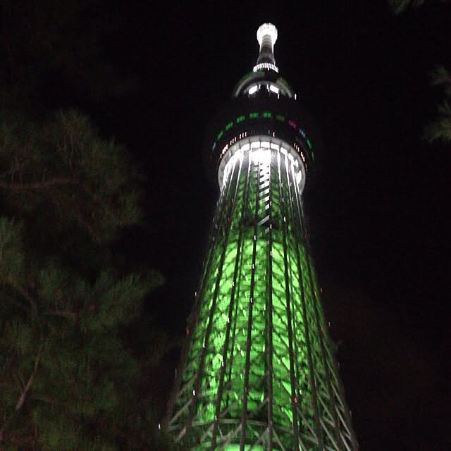 実例写真