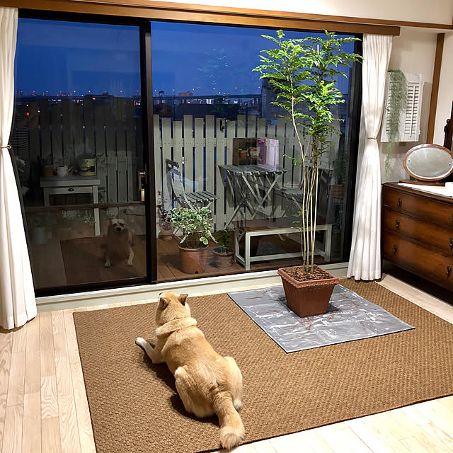 leonaさんの実例写真
