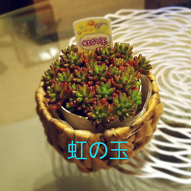 takoさんの実例写真