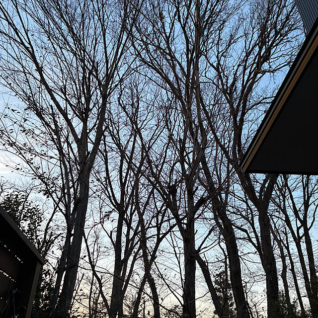 mirutanさんの部屋