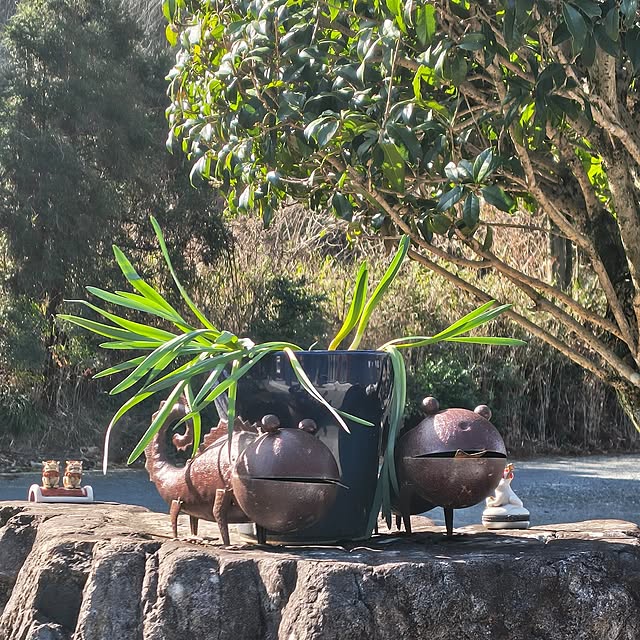 Rubiconさんの実例写真