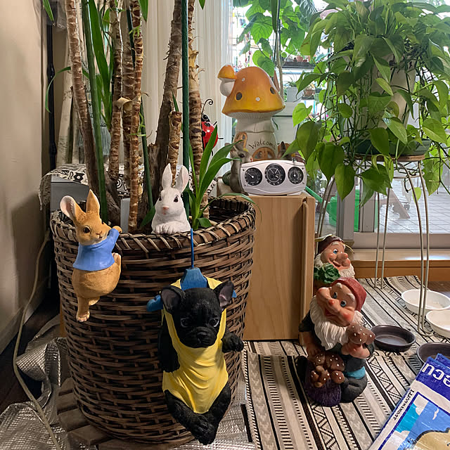 Aqettyさんの部屋
