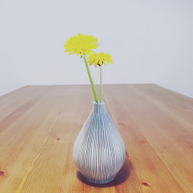 shi_taさんの実例写真