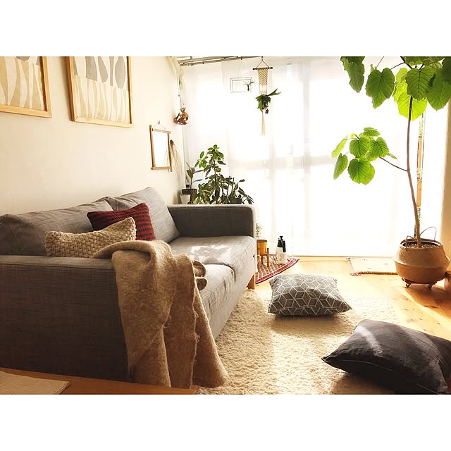 Hisayoさんの実例写真