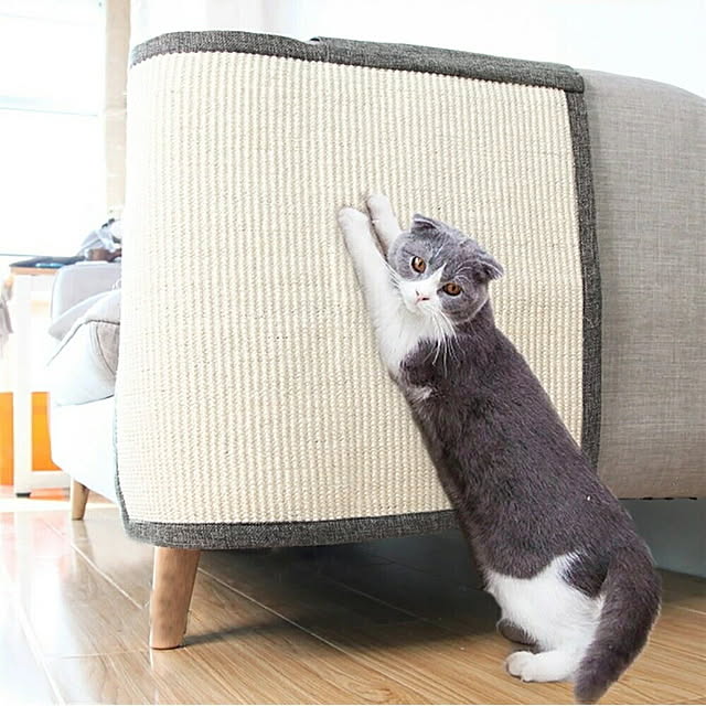 aiojapanさんの実例写真