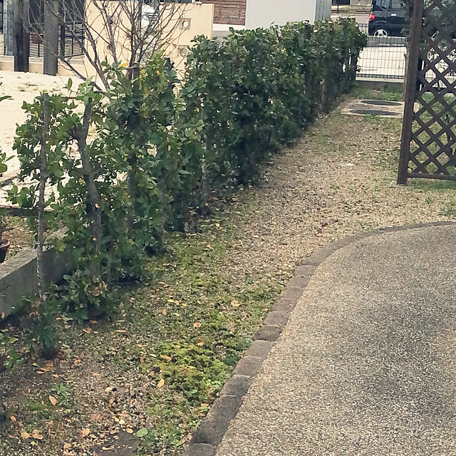 teraさんの実例写真