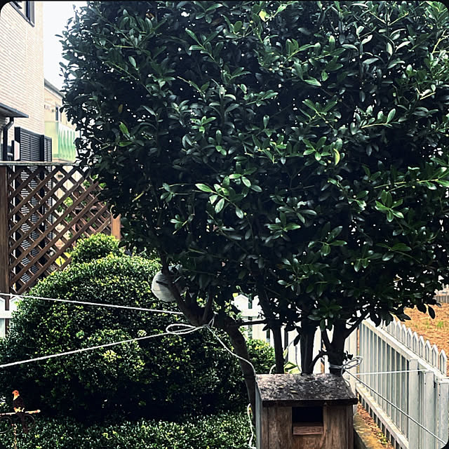 Ohigeさんの部屋