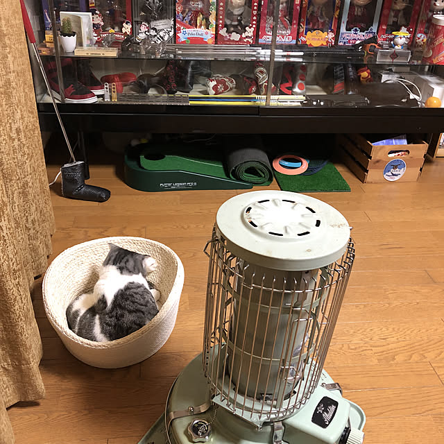 eco.eco.0201さんの実例写真