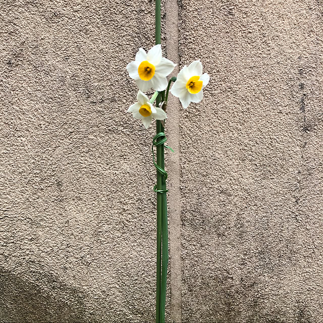 fumikoiさんの実例写真