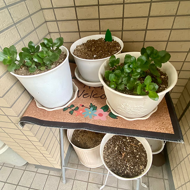 YuuKoさんの部屋