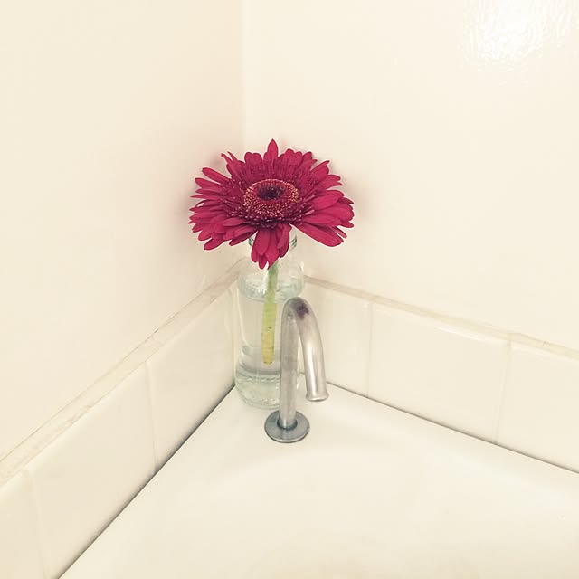 naonishiさんの実例写真