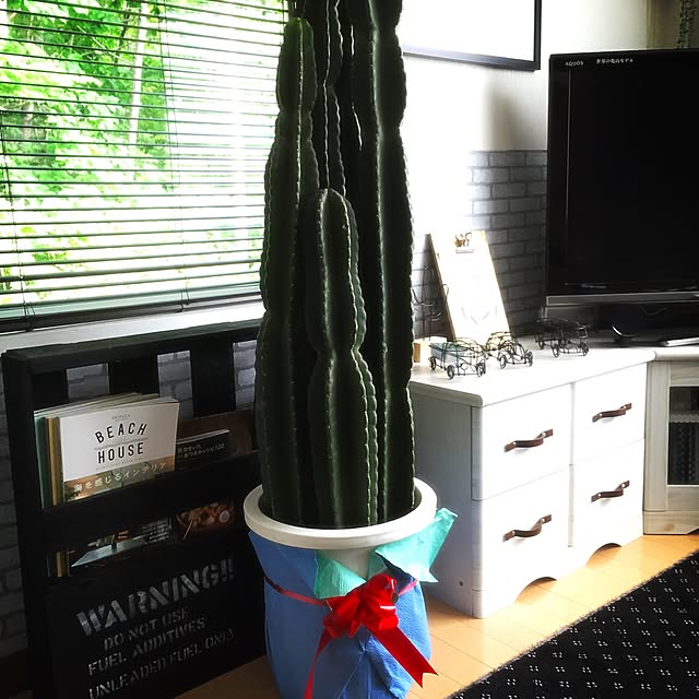 Megumiさんの実例写真
