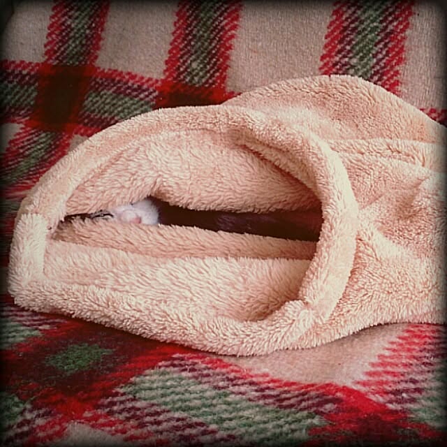 Lukiさんの実例写真