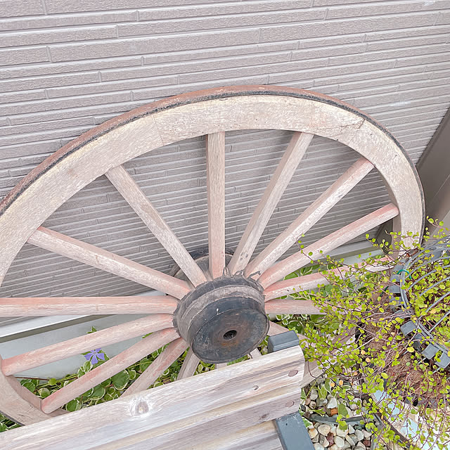 akiko-ovさんの部屋