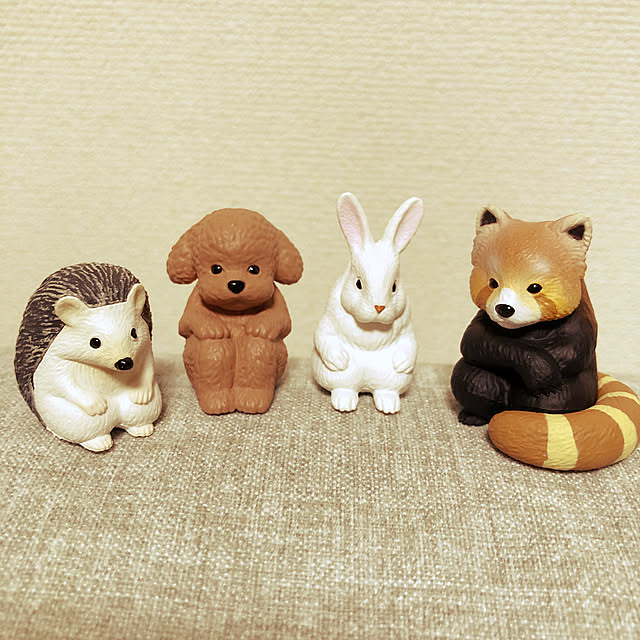 mocoさんの実例写真