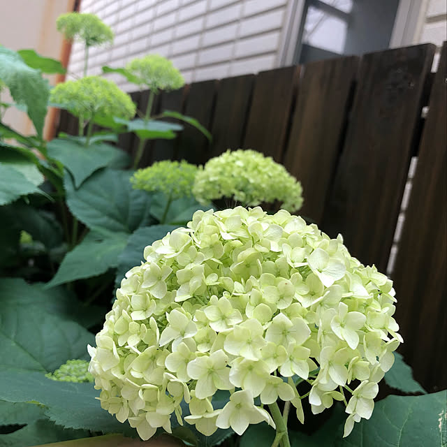 Nobbyさんの実例写真