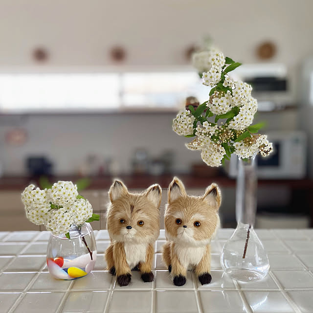 akoehonさんの実例写真