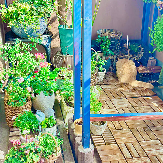 naokoさんの部屋