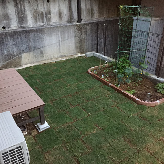 masaさんの実例写真