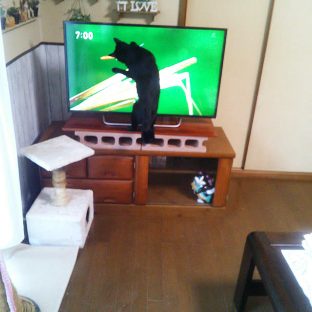 Tomopさんの実例写真