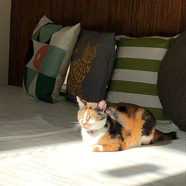 mizuさんの実例写真