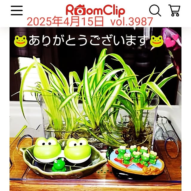 katさんの部屋