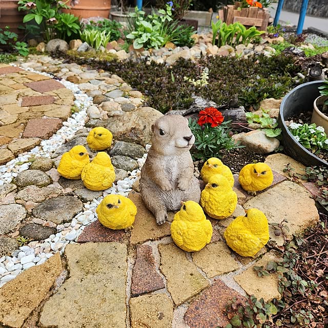 Mariさんの部屋