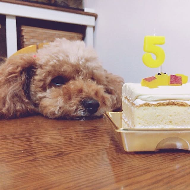 mofuさんの実例写真