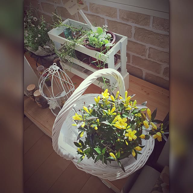 reeさんの実例写真