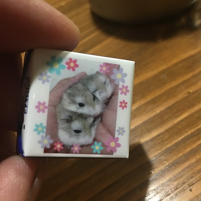 Jackyさんの実例写真