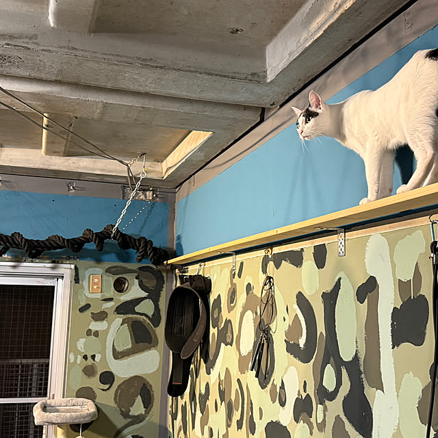 yuutamamehimaさんの部屋