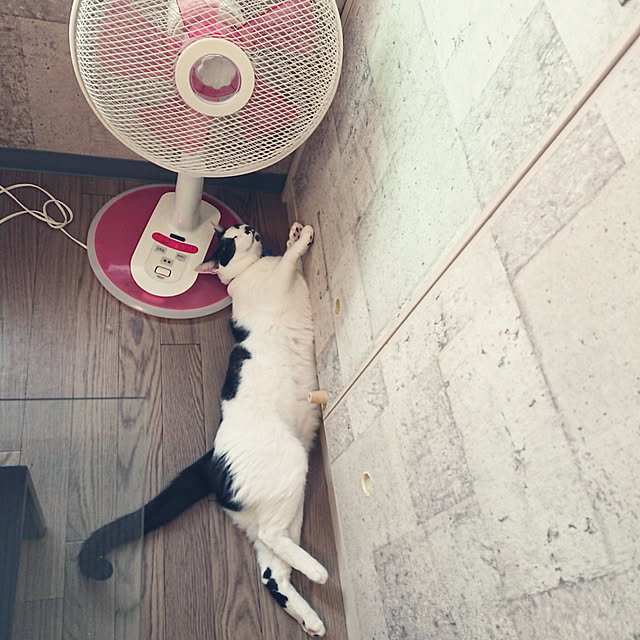 asuminさんの実例写真