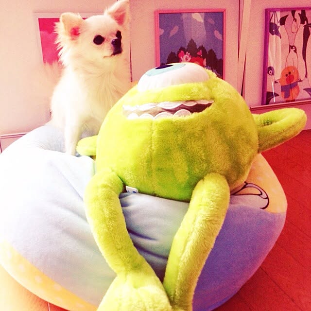 yukiさんの実例写真