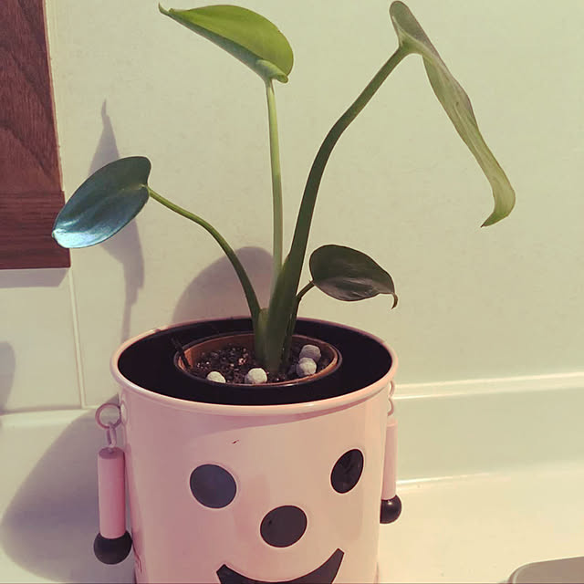 lillyさんの実例写真