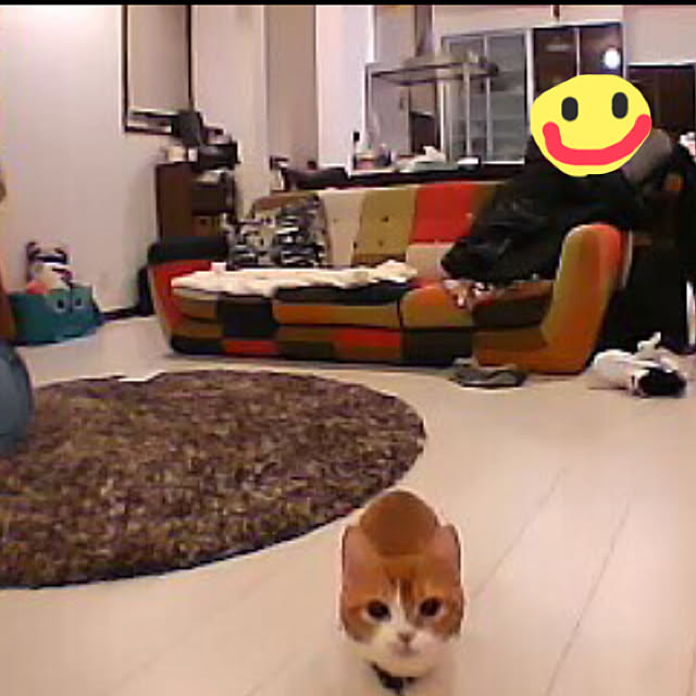 KotarouKunさんの実例写真