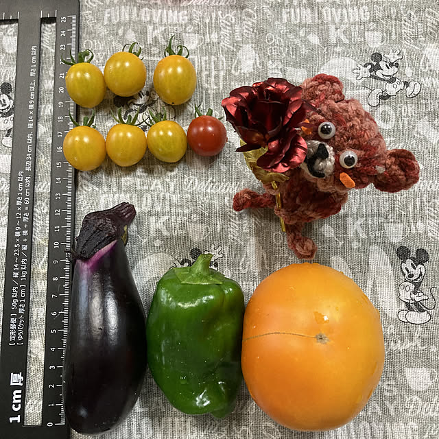 manduonmaさんの実例写真