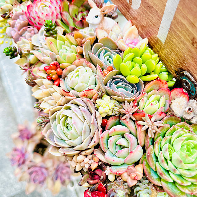 harumaruさんの部屋