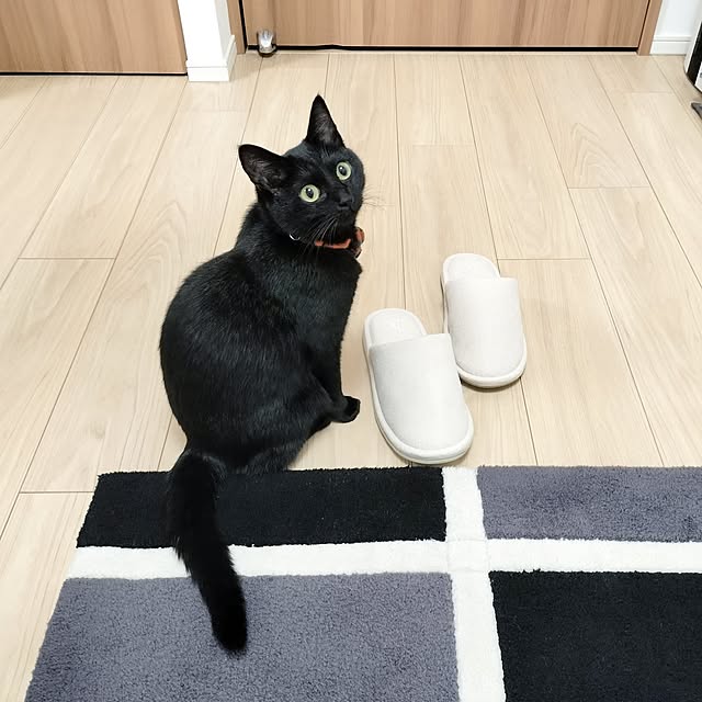 sakuraさんの実例写真