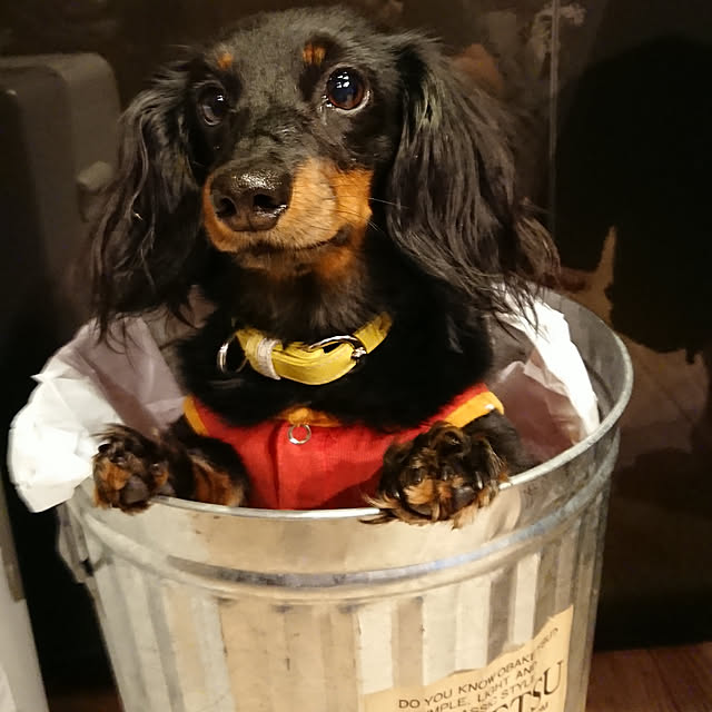 tomopiさんの実例写真