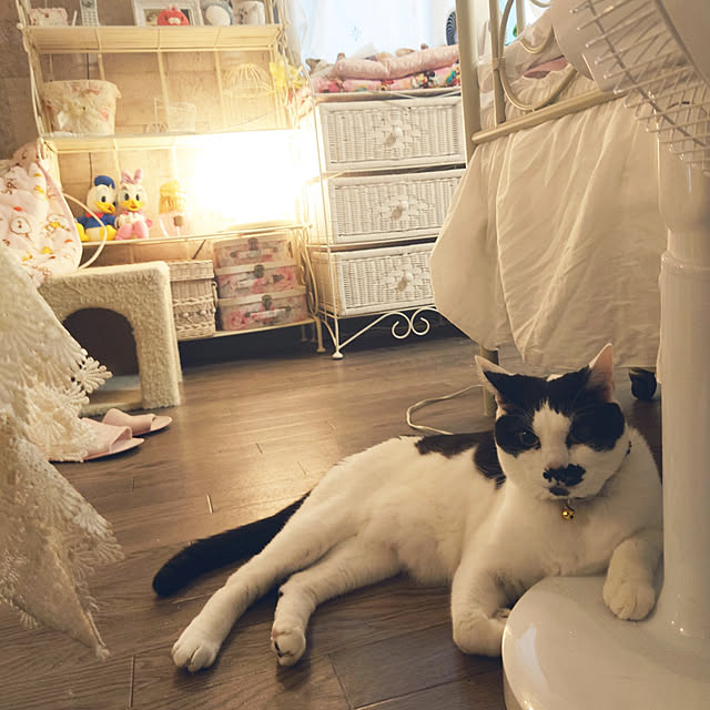 asuminさんの実例写真