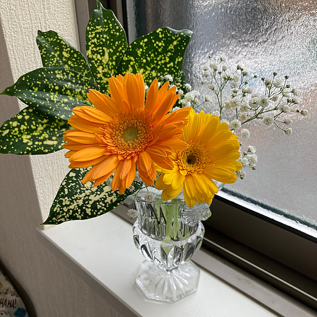 hirokoさんの実例写真