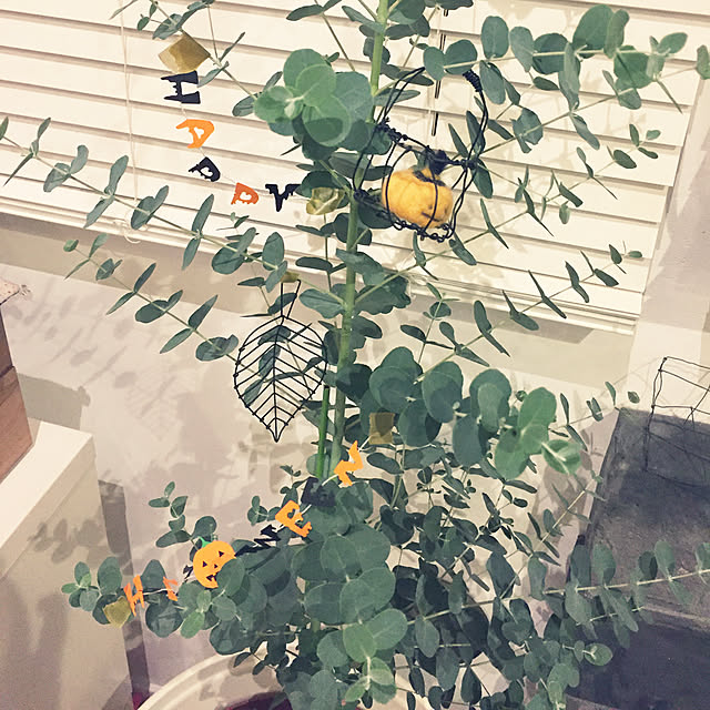 tsukiyuzuさんの実例写真