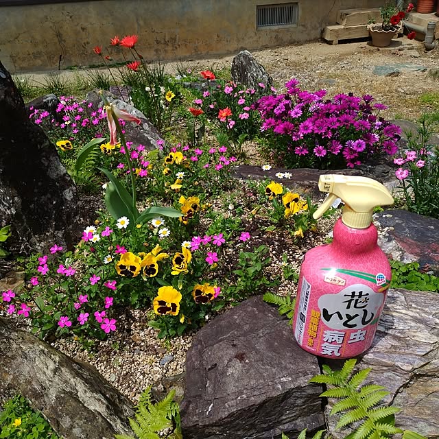 kuririnmamaさんの実例写真