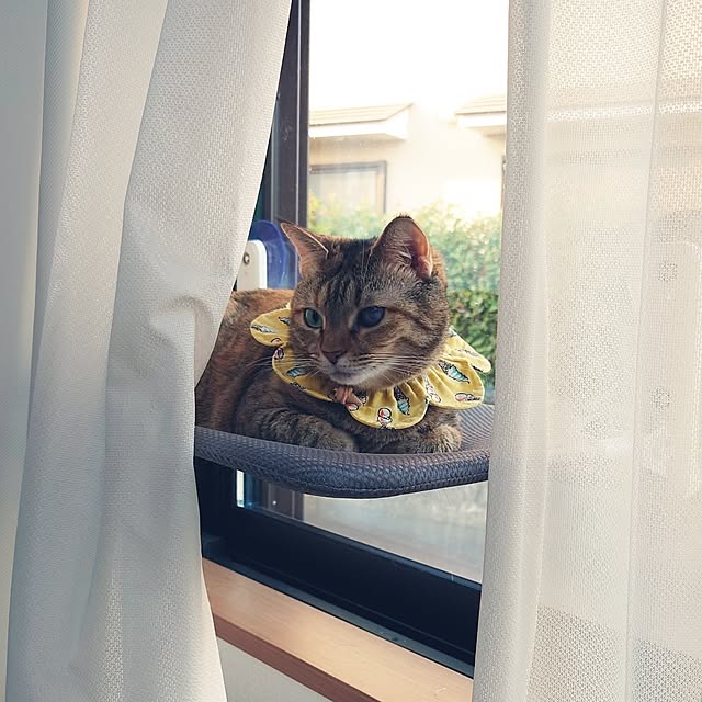 mochicoさんの部屋