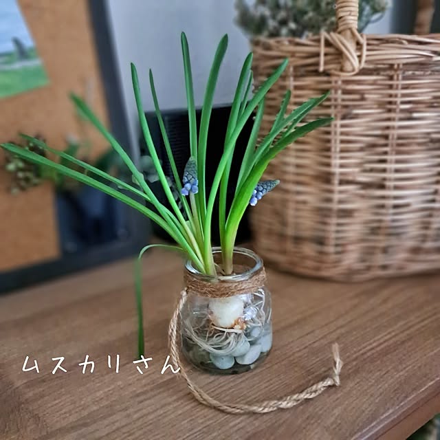 shinoさんの実例写真